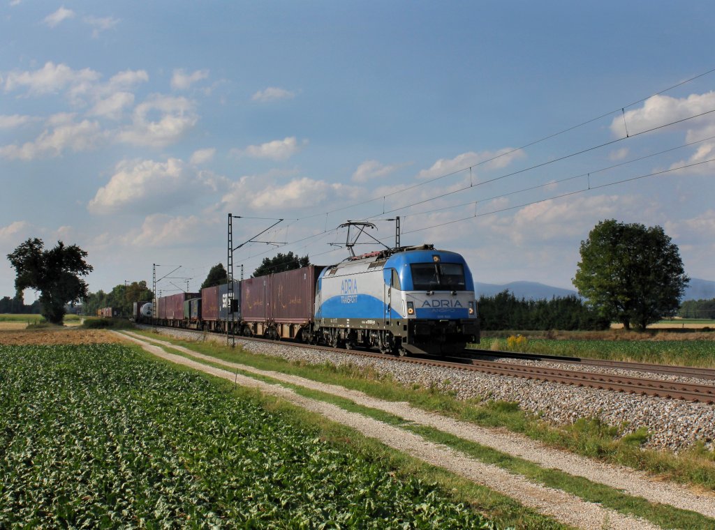 Die 1216 920 mit einem KLV-Zug am 11.08.2013 unterwegs bei Langenisarhofen.