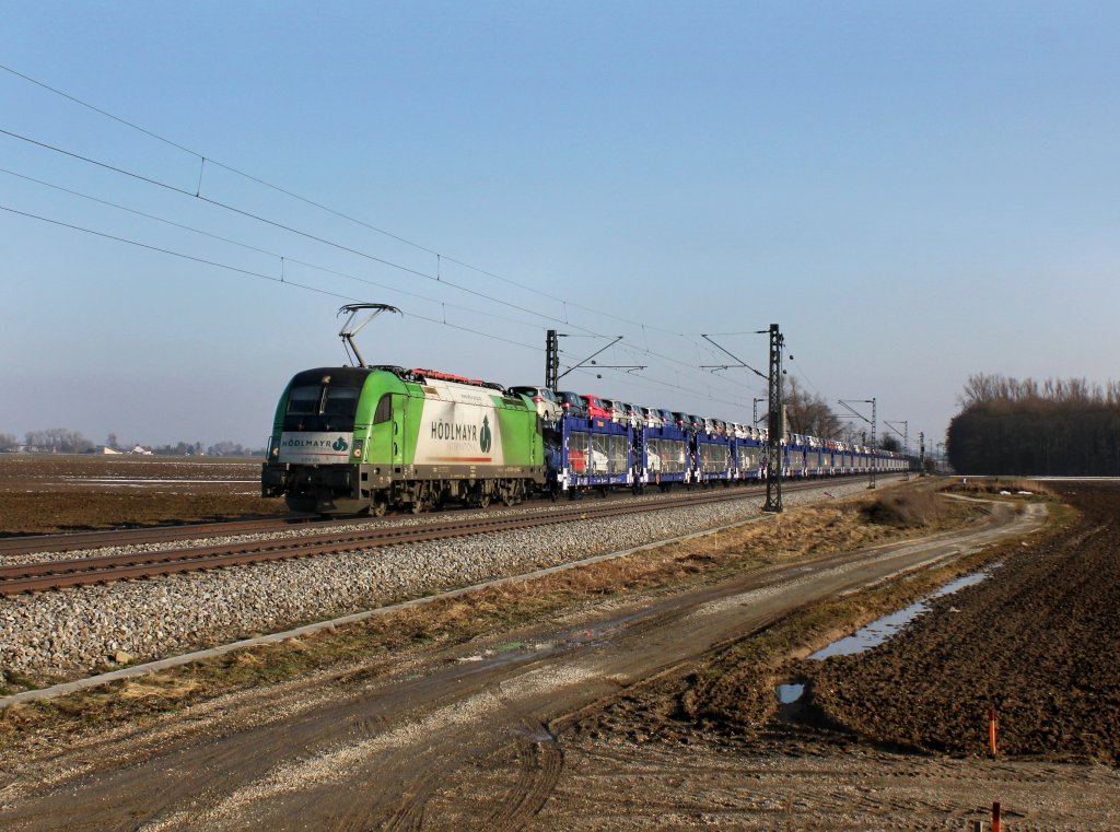 Die 1216 954 mit einem Autozug am 03.03.2013 unterwegs bei Langenisarhofen.