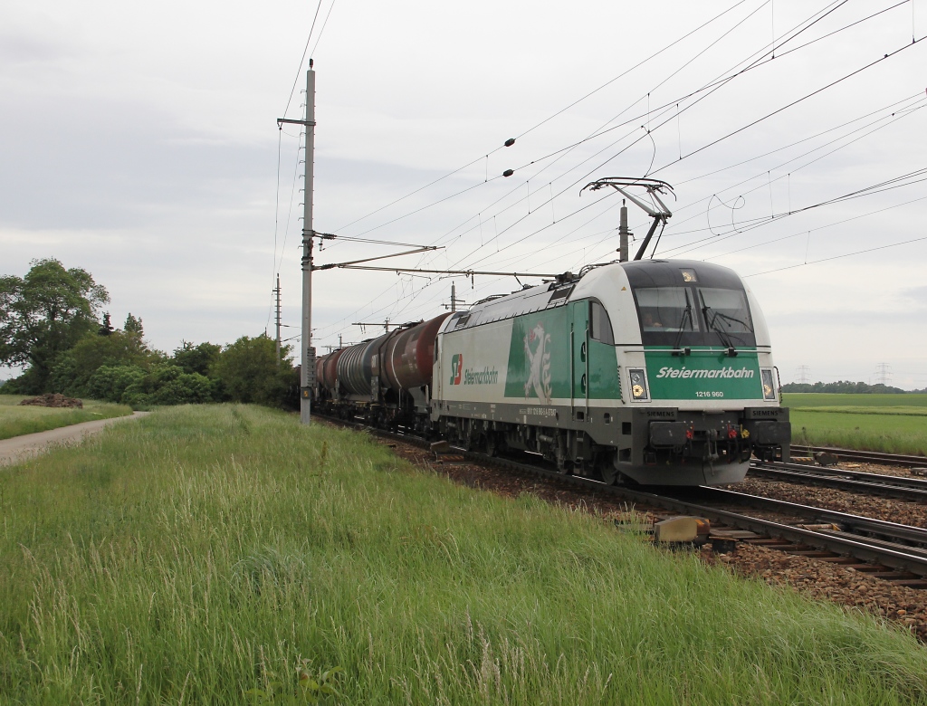 Die 1216 960 lie sich auch nochmal blicken. Sie kam mit einem Kesselwagenzug aus Richtung Wien. Aufgenommen am 17.05.2013 in Gramatneusiedl.