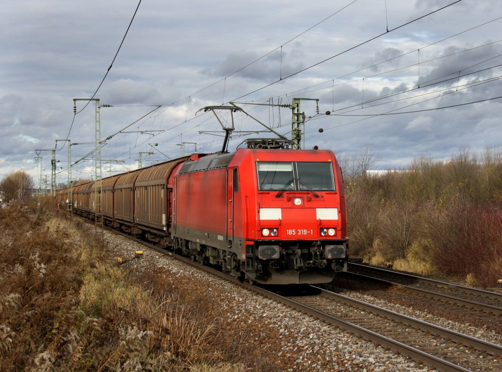 Die 185 319 mit einem Gterzug am 13.11.2010 unterwegs bei Obertraubling.