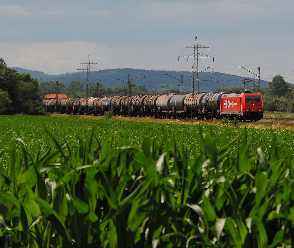 Die 185 630 (HGK) konnte bei herrlichem Sommerwetter mit ihrem Kesselzug in der N�he von Trieb am 23.06.2011 aufgenommen werden.