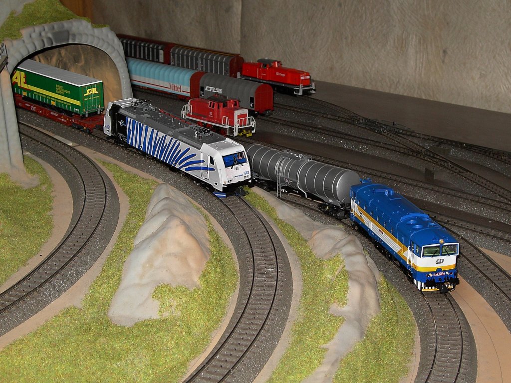 Die 185 663 von Lokomotion und die CD Taucherbrille 754 028 mit ihren Gterzgen bei der Durchfahrt durch den Bahnhof. 