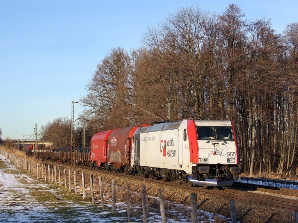 Die 185 665 am 06.02.2011 mit einem Gterzug unterwegs bei Grokarolinenfeld (B Vogl).