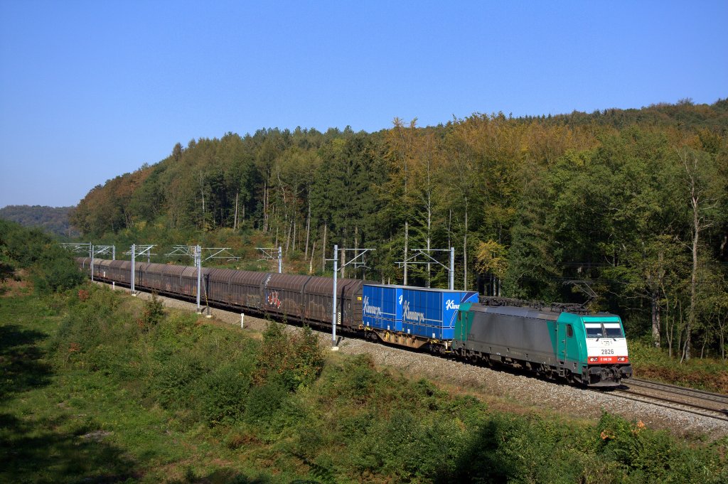 Die 186 218 (2826) fuhr am 01.10.2011 mit ihrem Gterzug von Aachen nach Montzen durch den Preuswald bei Gemmenich.