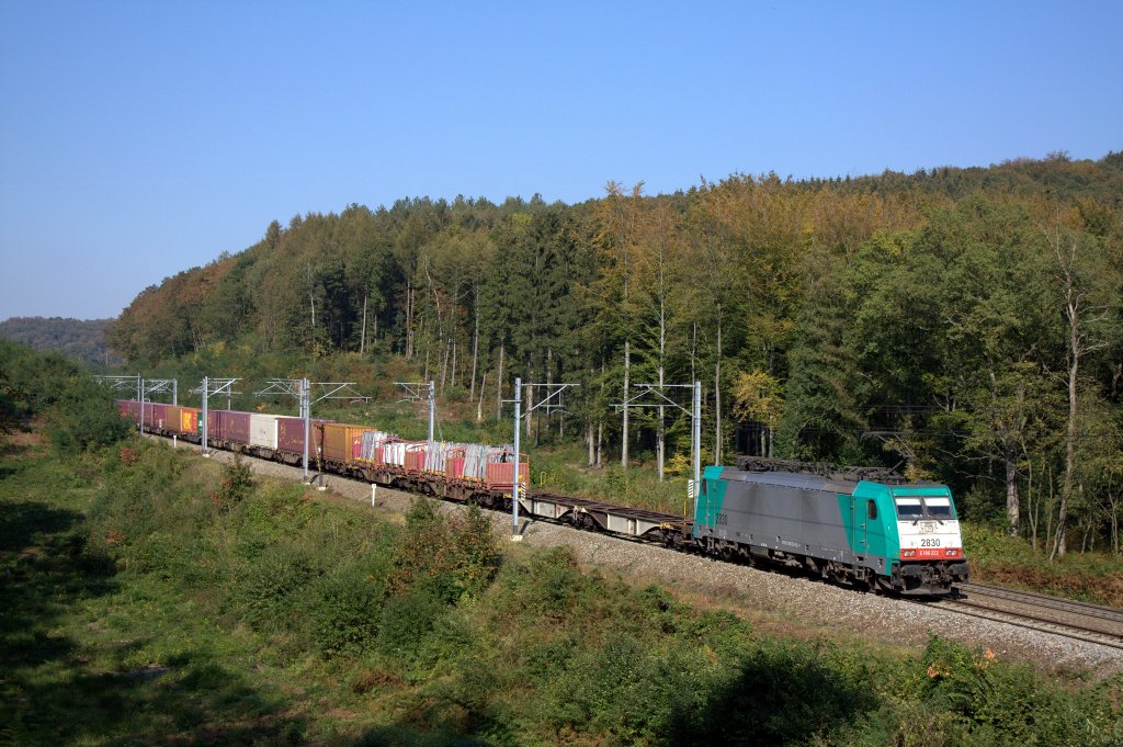 Die 186 222 (2830) fuhr am 01.10.2011 von Aachen West nach Montzen durch den Preuswald bei Gemmenich.
