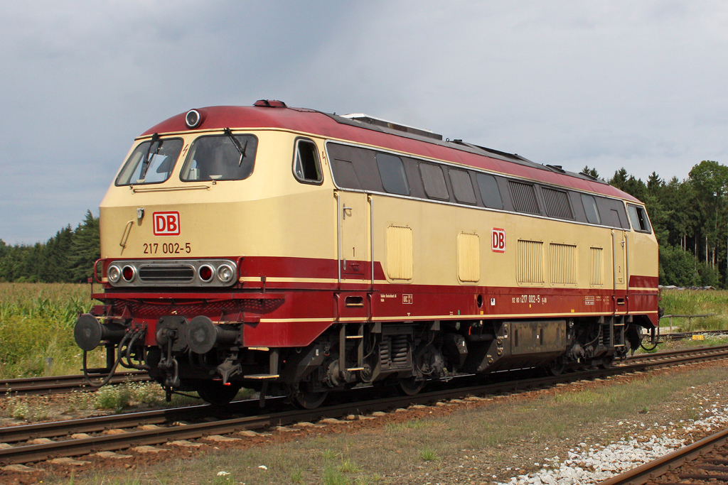 Die 217 002-5 bei der Durchfahrt durch in Tssling am 02,08,10 