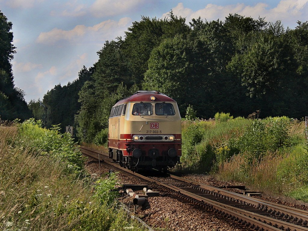 Die 217 002 am 09.08.2010 bei der Einfahrt in Tling. 