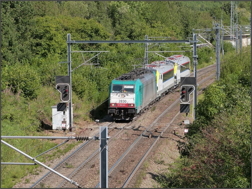 Die 2830 unterwegs auf der Montzenroute bei Botzelaer am 29.August 2012.
Am Haken zwei nagelneue Siemens Lokomotiven der BR 19 f�r die belgische Staatseisenbahn (SNCB).