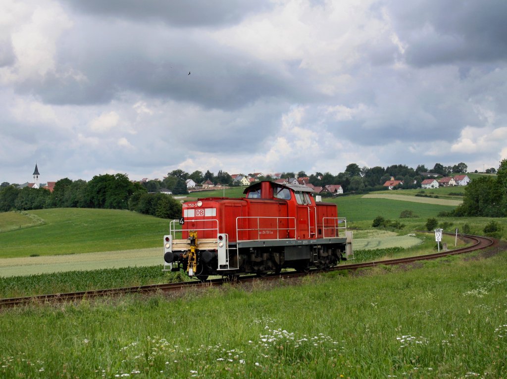 Die 294 750 am 24.06.2011 unterwegs bei Gebenbach. Bahnbilder.de