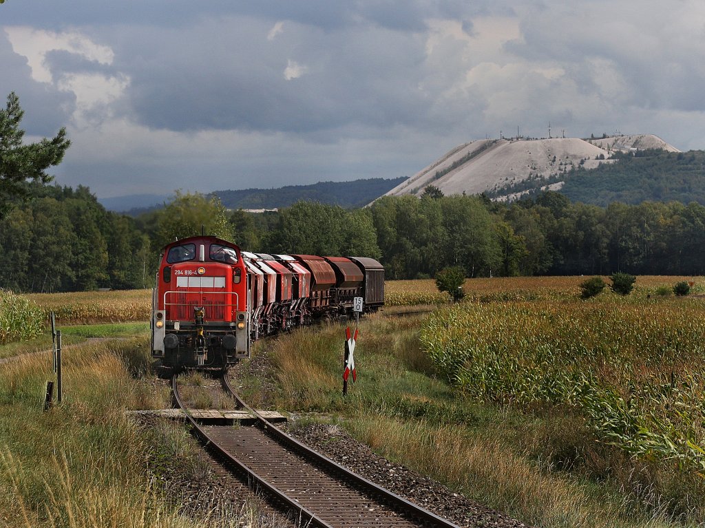 Die 294 816 am 04.09.2009 mit dem Kaolinzug unterwegs bei Hirschau.