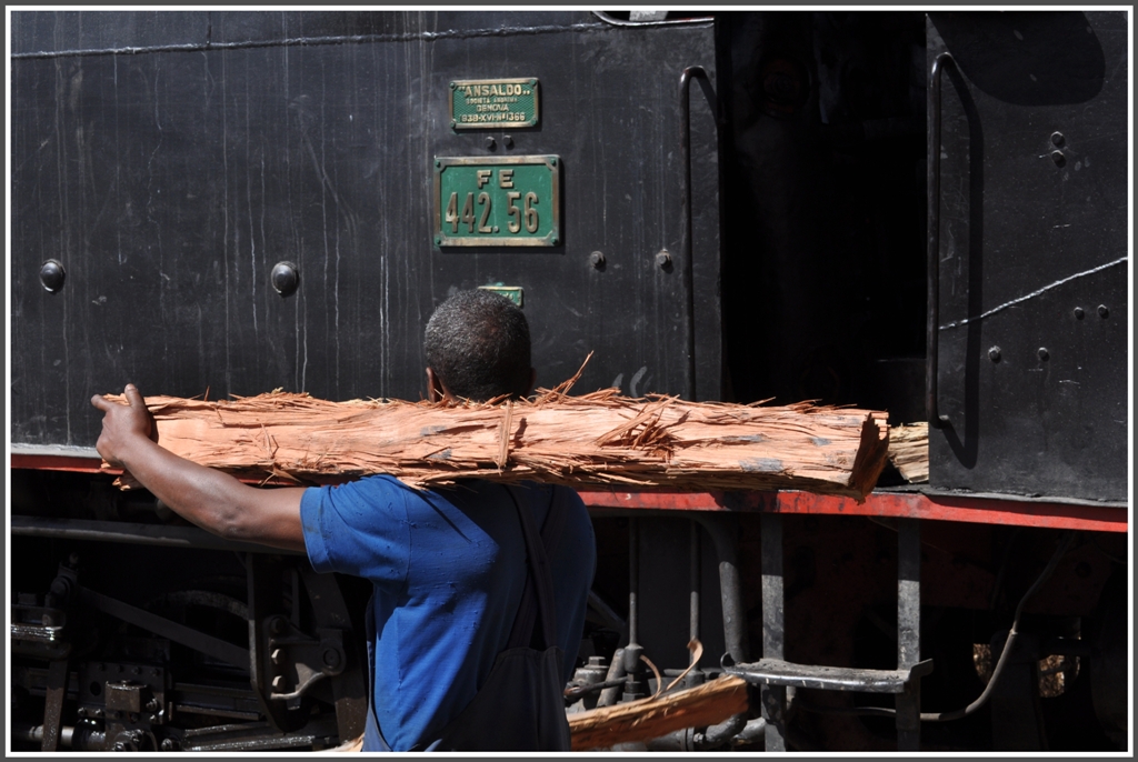 Die 442.56 wird angeheizt fr den folgenden Tag, wo die frisch ausgebesserte Lok erstmals seit 1974 einen Zug von Nefasit nach Asmara ziehen wird. 1938 wurde die Lok von Ansaldo in Genova gebaut. (31.01.2012)