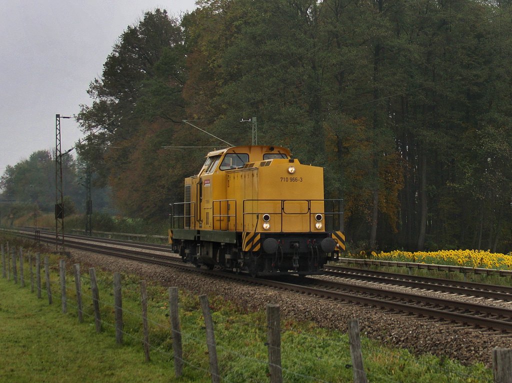 Die 710 966 am 14.10.2010 unterwegs bei Grokarolinenfeld. (B Vogl)