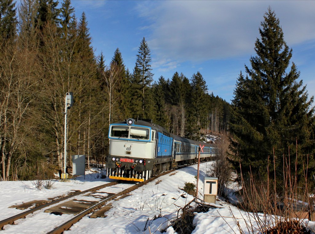 Die 754 025 am 01.01.2013 mit einem Personenzug unterwegs bei Bhmisch Eisenstein.