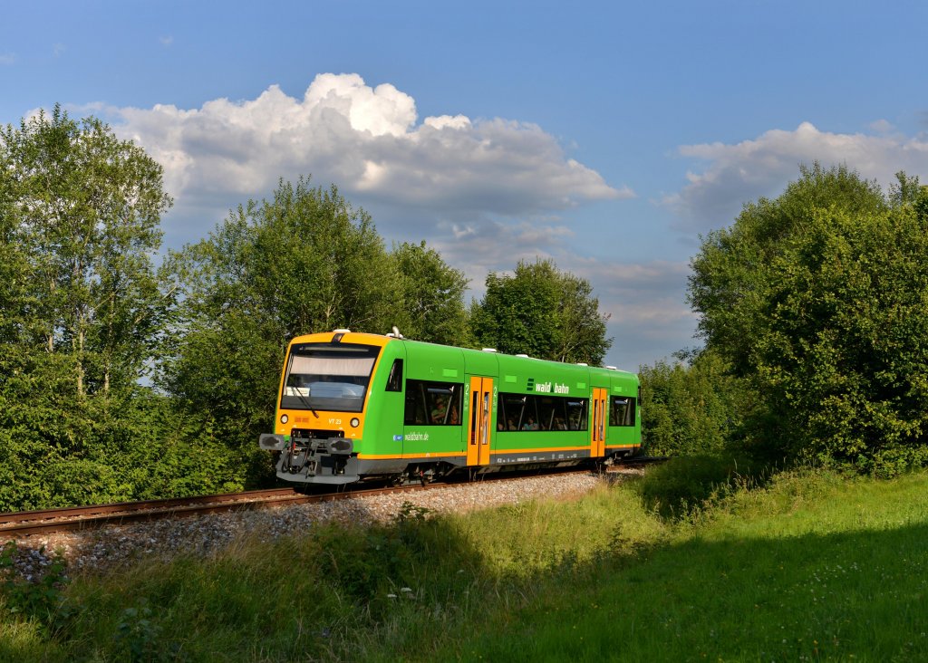 Die „neue“ Waldbahn 650 658 (VT 23) als RB nach Plattling am 17.07.2013 bei Triefenried. Neu sind unter anderem das kleinere Waldbahnlogo, das Bahnland-Bayern-Logo sowie der kleine waldbahn.de-Aufdruck. Auerdem werden alle Regios neu lackiert. 