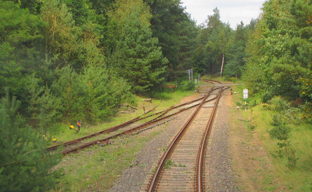 Die Abzweig Ferropolis (links) an der KBS 257 nach Dessau, bei Oranienbaum. Vom Oberdeck des DVE 670 004 aus fotografiert; 14.09.2011