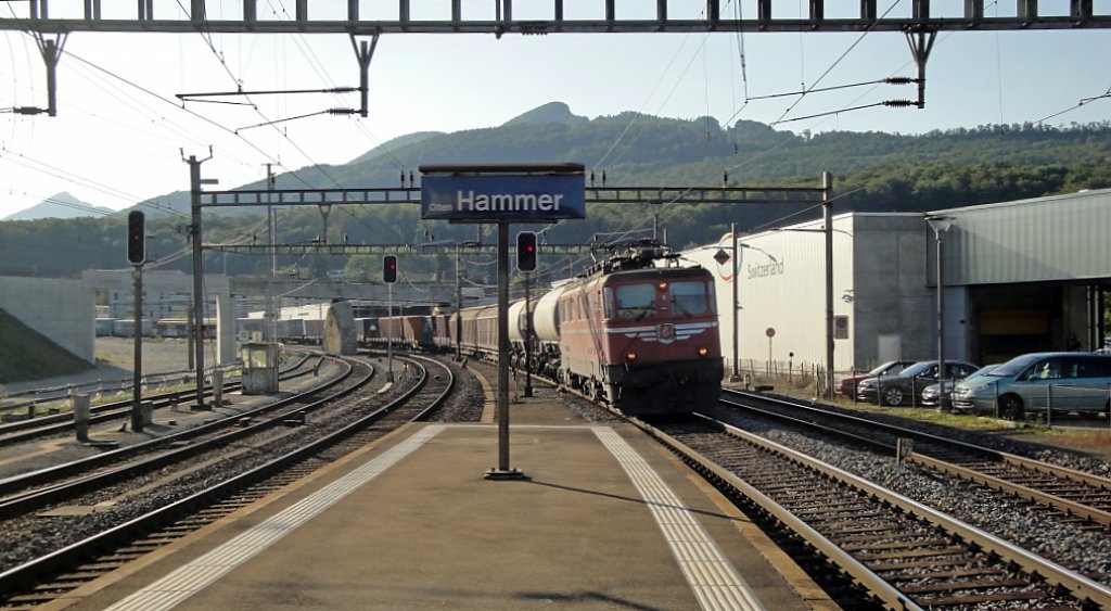 Die Ae 6/6 11419  Appenzell i.Rh.  durchfhrt am Abend des 03.09.10 mit einem Gterzug Olten Hammer. Diese Lok ist die 2. lteste im Regelbetrieb stehende Streckenlokomotive der SBB. 