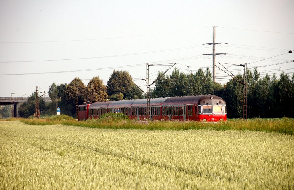 Die Bahn goes ko, RB von Regensburg nach Plattling  verkriecht  sich hinter meterhohem Unkraut am 05.07.2010 kurz vorm Endbahnhof.