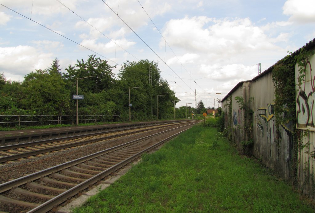 Die Bahnsteige in Erbach (Rhg). Die Gleise gehren zur KBS 466. Auf dem linken Gleis fahren die Zge in Richtung Koblenz, auf dem rechten Gleis in Richtung Wiesbaden; 18.07.2012