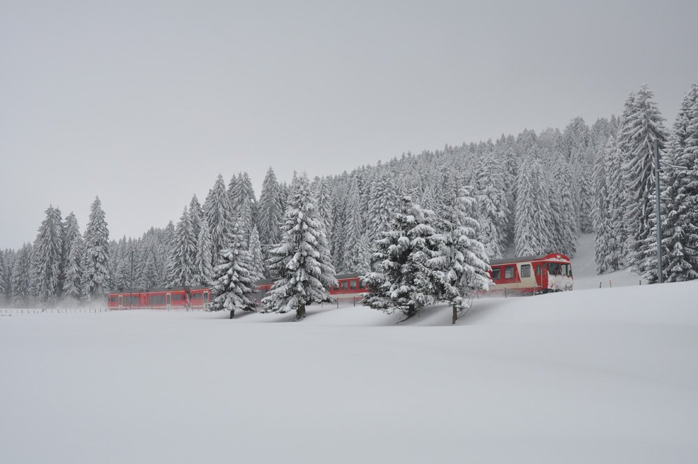 Die BDt 722, B 75x, ABe 2/6 631  Pouillerel  und ABe 2/6 633  La Grure  fahren als R 245 La Chaux-de-Fonds - Glovelier nach Muriaux. Der Zug ist anlsslich des Hundeschlittenrennen am 31. Januar 2010 in Saignelgier verstrkt.