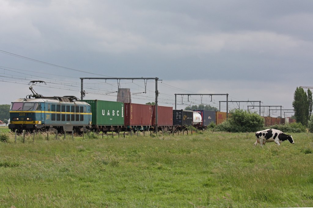 Die belgische 2011 fhrt am 9.7.12 mit einem Containerzug durch Zwankendamme und erreicht in Krze den Containerhafen von Zeebrgge.