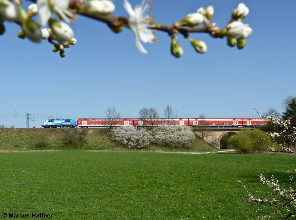 Die Blte in voller Pracht: Die 111 017-0 als Bahnland-Bayern (Maxl) kurz vor der Einfahrt in den Bahnhof Roth aus Nrnberg kommend am 10. April 2011.