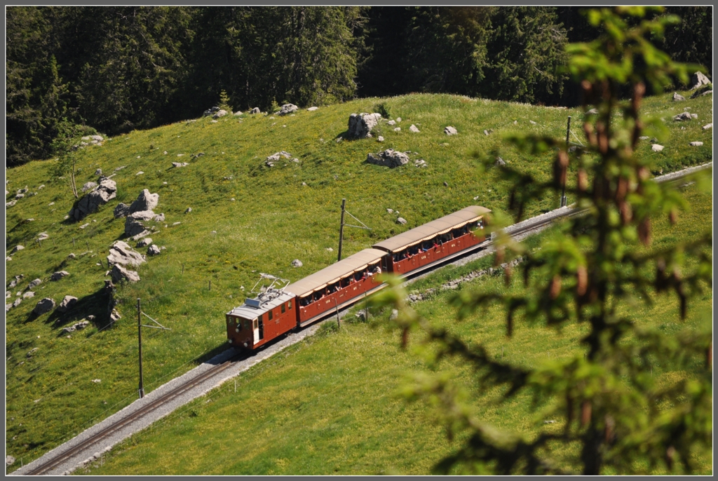 Die braune Lok 14 und die Sommerwagen 2 und 3 auf der Chrterwang. (27.06.2012)