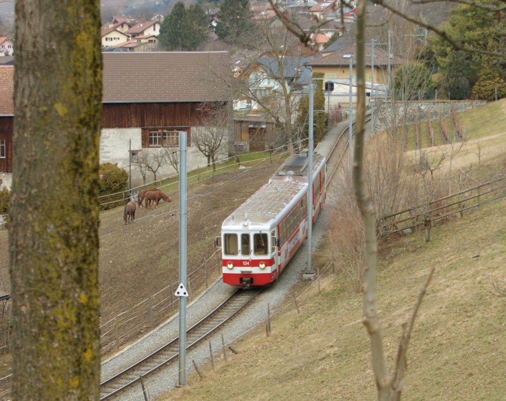 Die braunen Pferde auf der brauen Wiese von braunen Bumen eingerahmt - ein leider recht farbloses Bild,wrde nicht der AOMC Regionalzug ein wenig Abwechslung ins Bild bringen. 
24.02.2010  