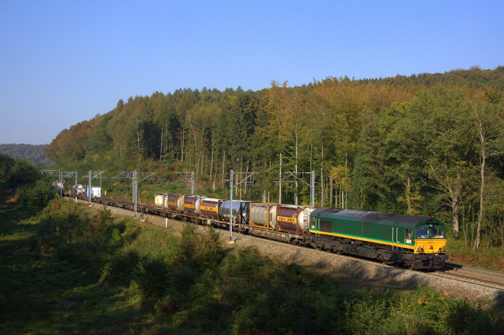 Die Class66 PB14 fuhr am 01.10.2011 von Aachen West nach Montzen durch den Preuswald bei Gemmenich.