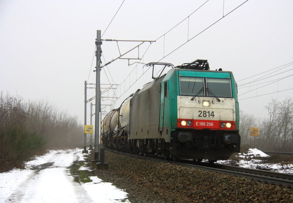 Die Cobra 2814 kommt aus Richtung Montzen-Gare(B) mit einem kurzen Kesselzug aus Antwerpen-Rhodesie(B) nach Schwedt(Oder) und fhrt in Richtung Aachen-West.
Aufgenommen in Moresnet(B) kurz vor dem Viadukt bei Nieselregen am nasskalten 15.2.2013.