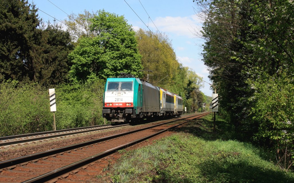 Die Cobra 2814 kommt aus Aachen-West und f�hrt die Gemmenicher-Rampe hochgefahren mit Zwei 1810 und 1809 beide von SNCB von Aachen-West nach Belgien.
Aufgenommen an der Montzenroute am Gemmenicher-Weg bei sch�nem Fr�hlingswetter am 5.5.2013.