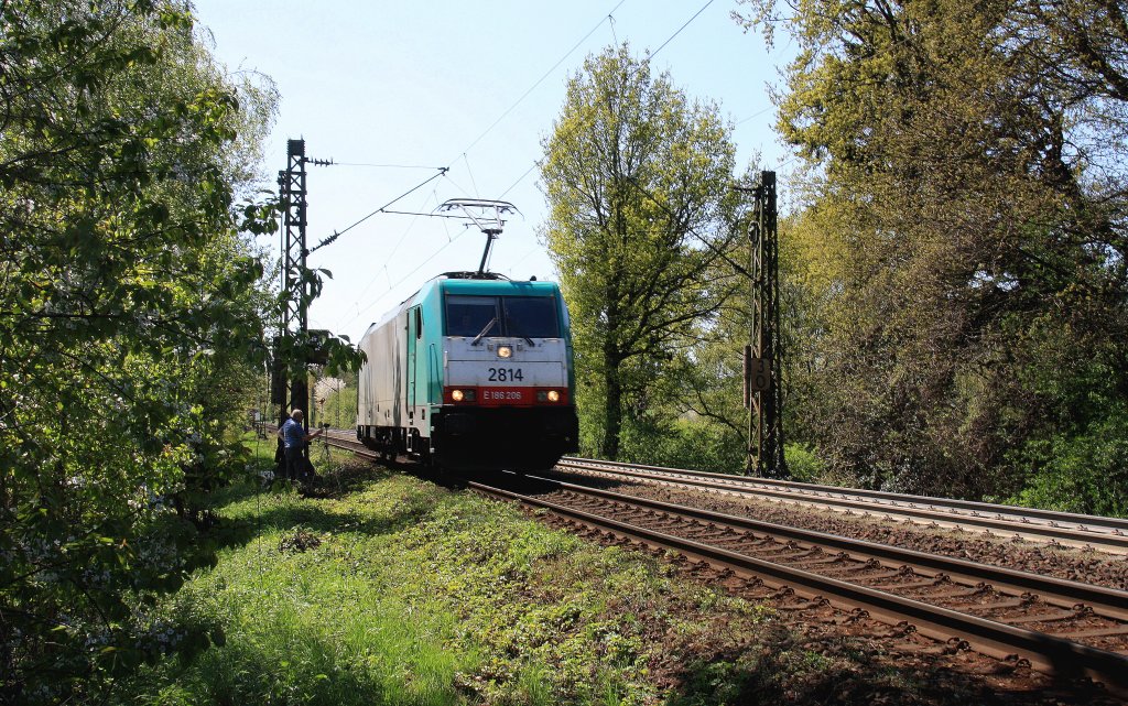 Die Cobra 2814 kommt die Gemmenicher-Rampe herunter nach Aachen-West als Lokzug aus Belgien und fhrt nach Aachen-West. Aufgenommen an der Montzenroute am Gemmenicher-Weg bei schnem Frhlingswetter am 5.5.2013.