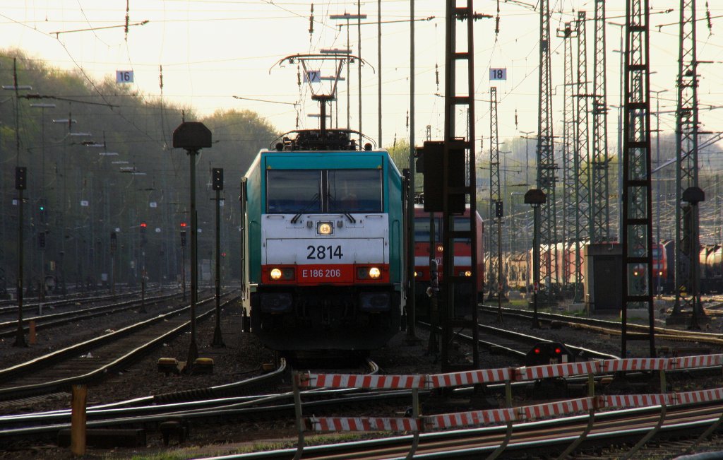 Die Cobra 2814 steht in Aachen-West und wartet auf die Abfahrt nach Belgien mit einem langen gemischten Gterzug aus Osnabrck nach Kortenberg-Goederen(B) in der Abendsonne am 25.4.2013.