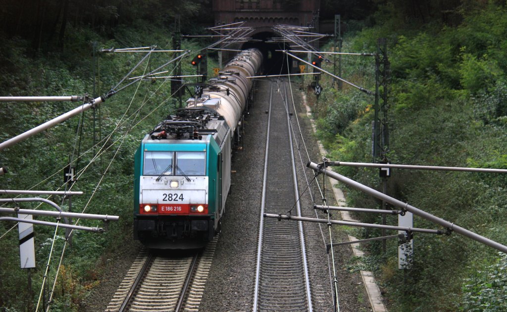 Die Cobra 2824 kommt aus dem Gemmenicher-Tunnel mit einem Kesselzug aus Antwerpen-BASF(B) nach Ludwigshafen-BASF und fahren die Gemmenicher-Rampe herunter nach Aachen-West bei Herbstwetter. Aufgenommen bei Reinartzkehl am 8.10.2012.