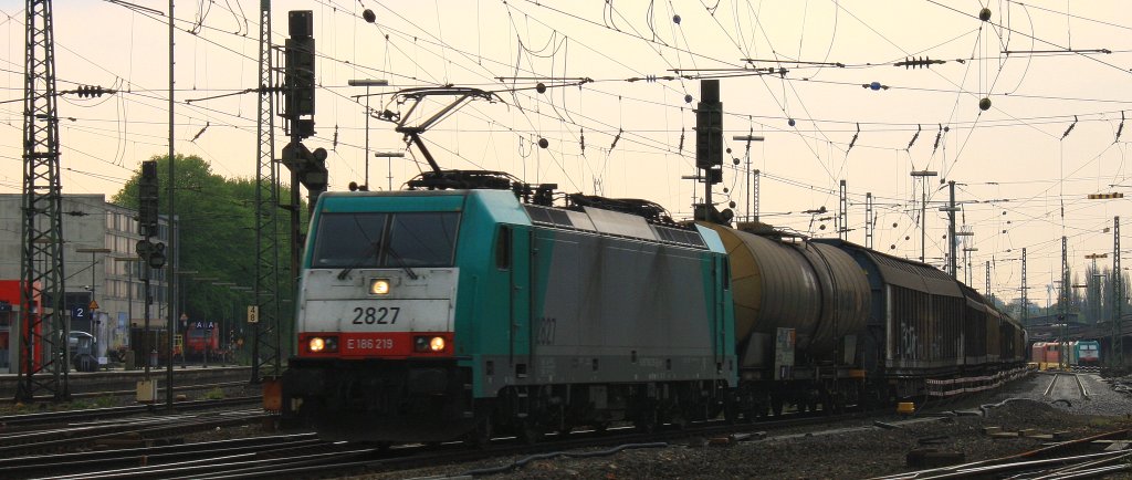 Die Cobra 2827 fhrt mit einem langen gemischten Gterzug aus Kln-Gremberg nach Antwerpen-Noord(B) bei der Ausfahrt aus Aachen-West und fhrt in Richtung Montzen/Belgien in der Abendstimmung am 2.5.2013.