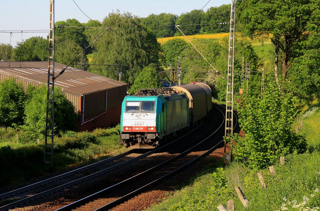 Die Cobra 2827 kommt die Gemmenicher-Rampe mit einem gemischten G�terzug von Aachen-West und f�hrt nach Antwerpen-Noord(B) und f�hrt gleich in den Gemmenicher-Tunnel hinein bei Sommerwetter.
Aufgenommen auf der Montzenroute bei Reinartzkehl am  25.5.2012.