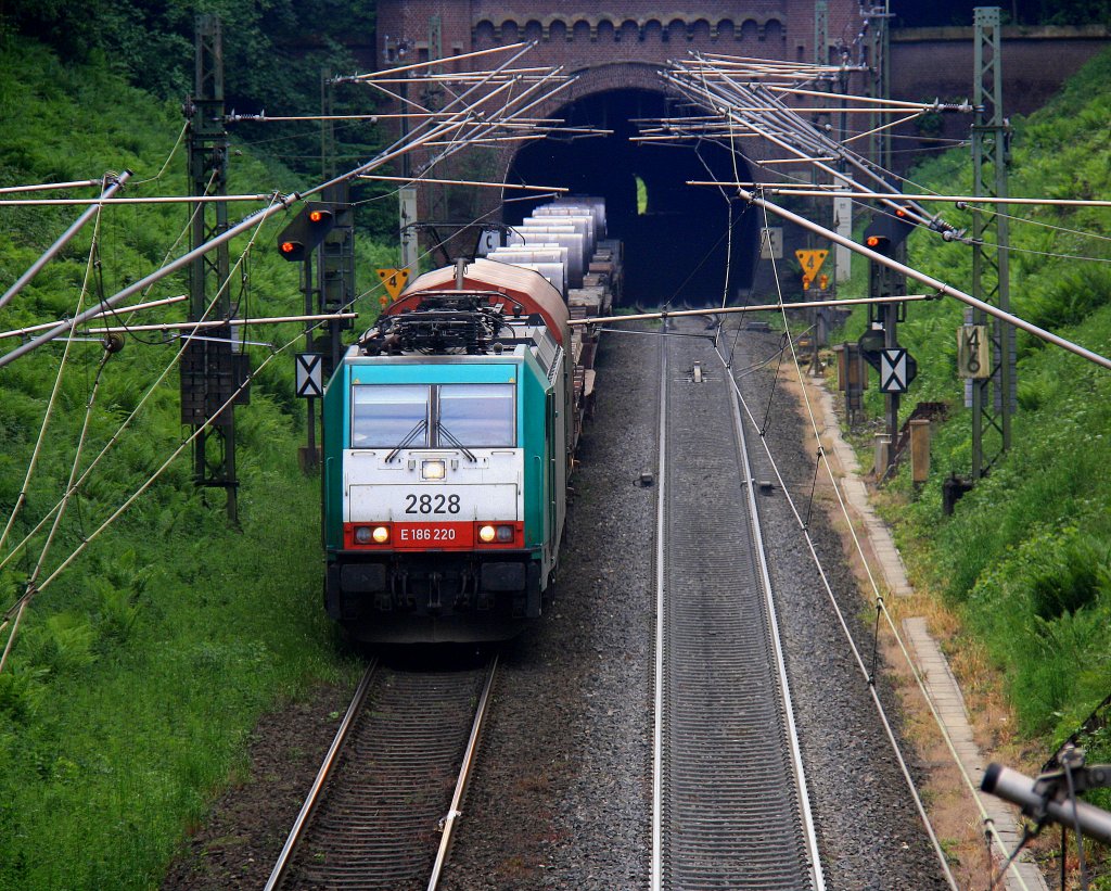 Die Cobra 2828 kommt aus dem Gemmenicher-Tunnel aus Belgien mit einem Stahlzug rollt die Gemmenicher-Rampe herunter nach Aachen-West.
Aufgenommen in Reinartzkehl am 29.5.2012.
