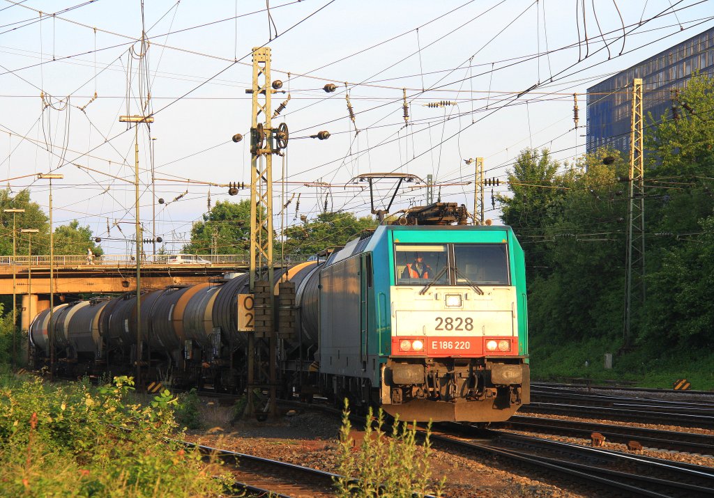 Die Cobra 2828 kommt mit einem Kesselzug aus Antwerpen-BASF nach Ludwigshafen-BASF  und f�hrt in Aachen-West ein bei Abendsonne am 2.6.2012.