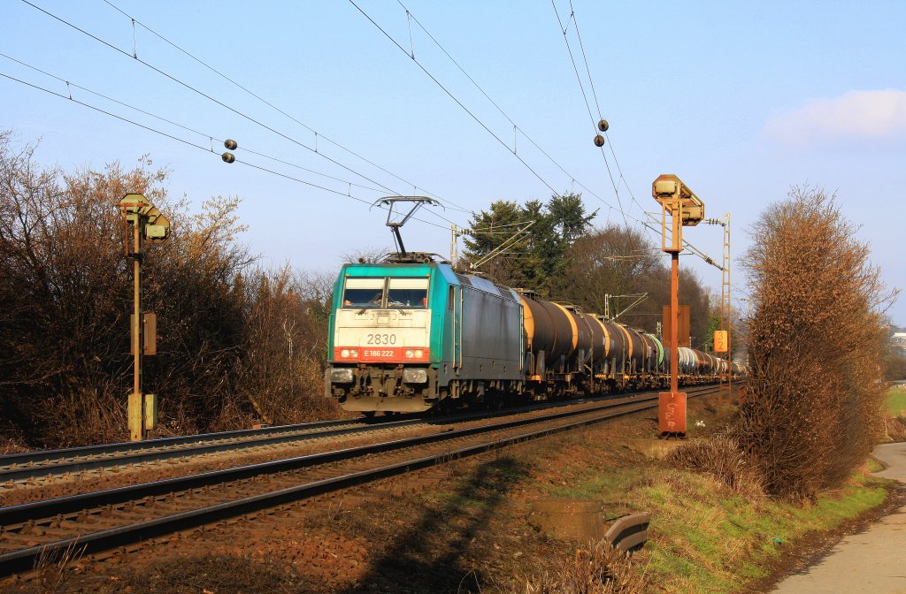 Die Cobra 2830 kommt die Gemmenicher-Rampe hoch mit einem langen Kesselzug,
und am Zugende schiebt eine Cobra 2820 aus Aachen-West bis zum Gemmenicher-Tunnel.
Aufenommen an der Montzenroute am Gemmenicher-Weg bei schner Wintersonne am 17.2.2013.