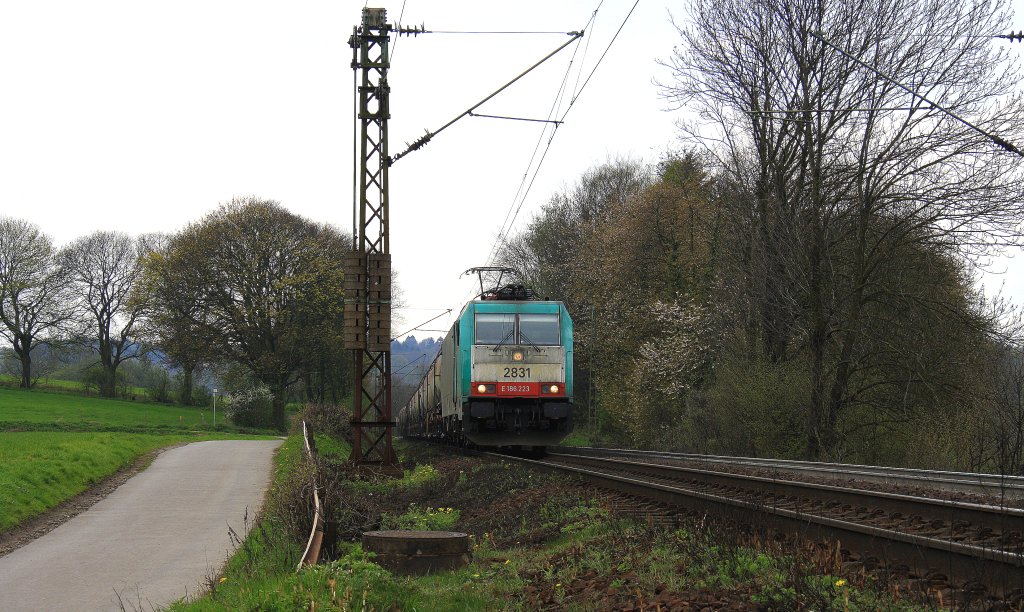 Die Cobra 2831 fhrt die Gemmenicher-Rampe herunter nach Aachen-West mit einem Kesselzug aus Belgien.
Aufgenommen am Gemmenicher-Weg auf der Montzenroute am 13.4.2012.