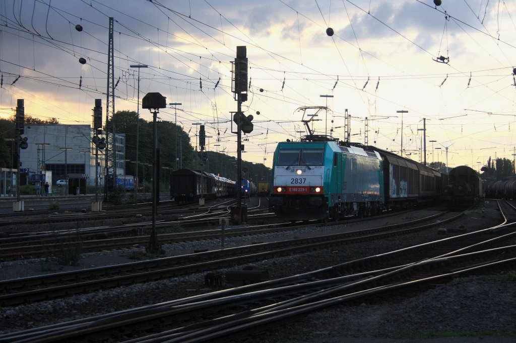 Die Cobra 2837 f�hrt mit einem gemischten G�terzug aus K�ln-Gremberg nach Antwerpen-Noord(B) in Aachen-West bei Abendsonne.
14.9.2011