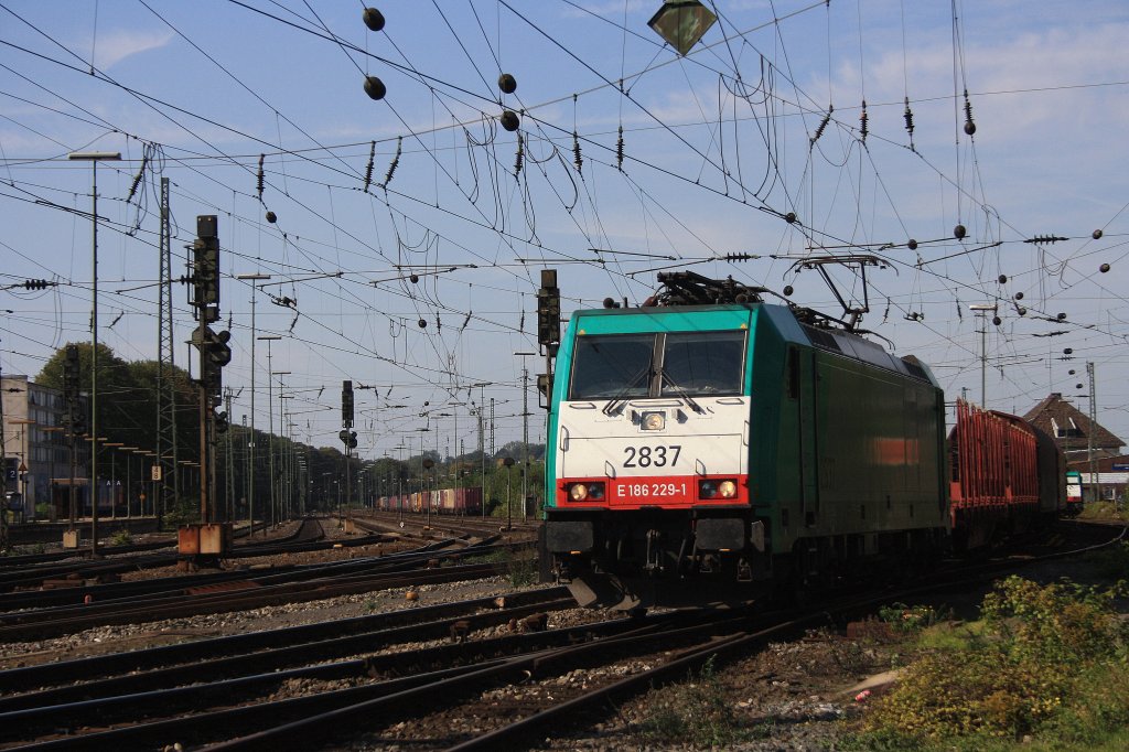 Die Cobra 2837 f�hrt mit einem gemischten G�terzug von Aachen-West nach K�ln-Gremberg bei Sonne.
24.9.2011