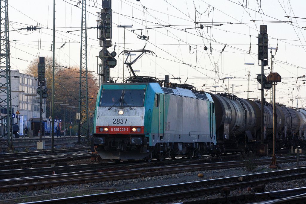 Die Cobra 2837 mit einem Kesselwangenzug von Aachen-West nach Antwerpen-BASF.
20.11.2011