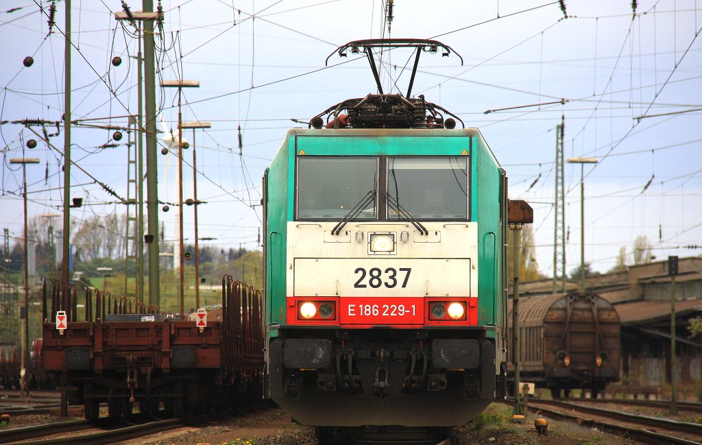 Die Cobra 2837 steht in Aachen-West mit einem  Gterzug am Abend des 26.4.2012.