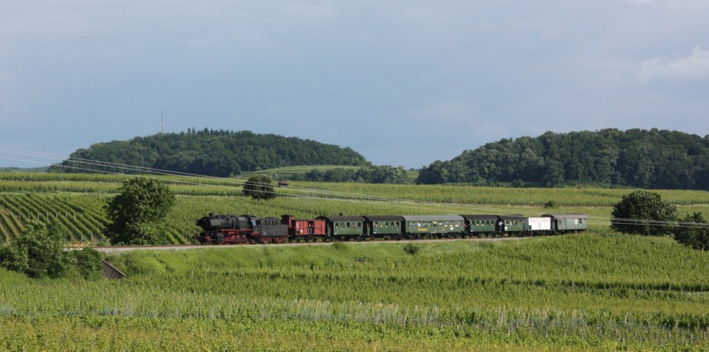 Die Dampflok 50 2740 bei Burkheim am Kaiserstuhl bei der Sonderfahrt nach Riegel. Die Lok ist einmalig hier, sie ist nur ausgeliehen, da der Rebenbummler mit Kesselschaden in Reparatur ist.
