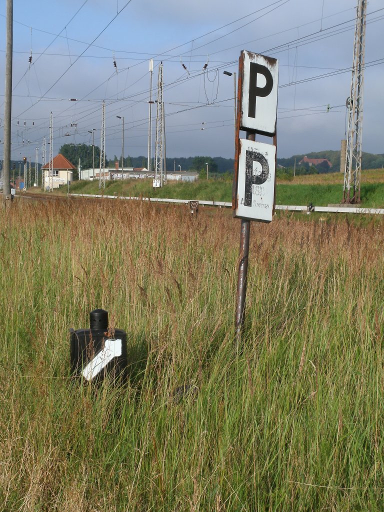Die Doppelpfeiftafel und eine zugewachsene Weiche von der ehmaligen Anschlubahn in Bergen/Rgen stehen und liegen noch.Aufnahme vom 13.August 2011.