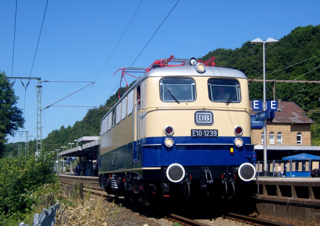 Die E10 1239 am 05.07.2009 in Altenbeken.