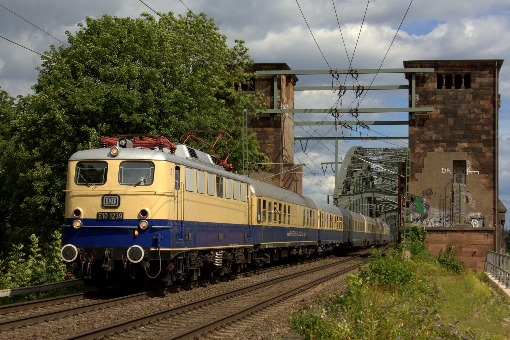Die E10 1239 mit ihrer Sonderfahrt  Rund um Kln  am 25.08.2012 an der Klner Sdbrcke.