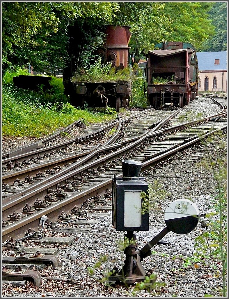 Die Einfahrt in den Bahnhof Fond de Gras vermittelt den Charakter der Museumsbahn Train 1900 sehr eindrucksvoll. 13.09.09 (Jeanny)