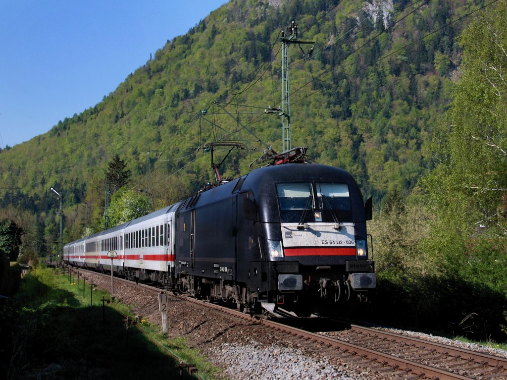 Die ES 64 U2-036 mit dem IC K�nigsee nach Hamburg am 22.04.2011 bei der Einfahrt in Piding. 