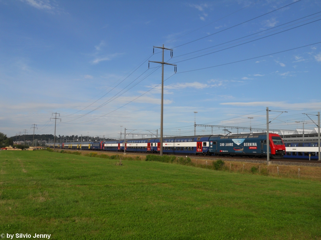 Die Extrazge zum Eidgenssischen Schwing- und lplerfest vom 20.8-22.8.2010 in Frauenfeld wurden im Vornerein als langweillig betitelt, da dafr die Wochenendstilllager der S-Bahn Zrich genutzt werden konnte, nicht so am EXT 33620 Frauenfeld - Zrich, denn dieses Gespann bestand aus den Re 450 060-9 ''100 Jahre Bernina'', 450 042-7 ''Hettlingen'' und 450 008-8 ''Riesbach''.